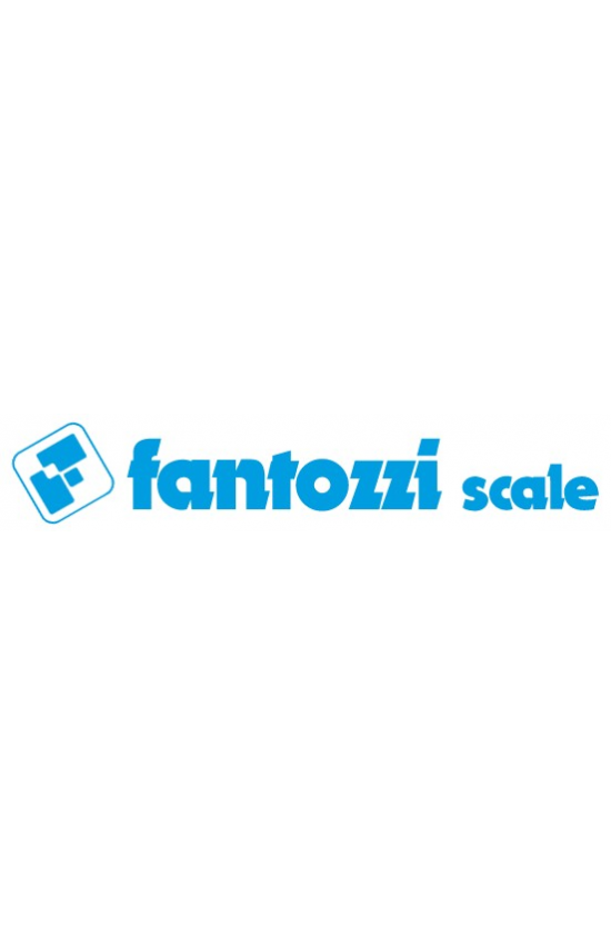 FANTOZZI SCALE
